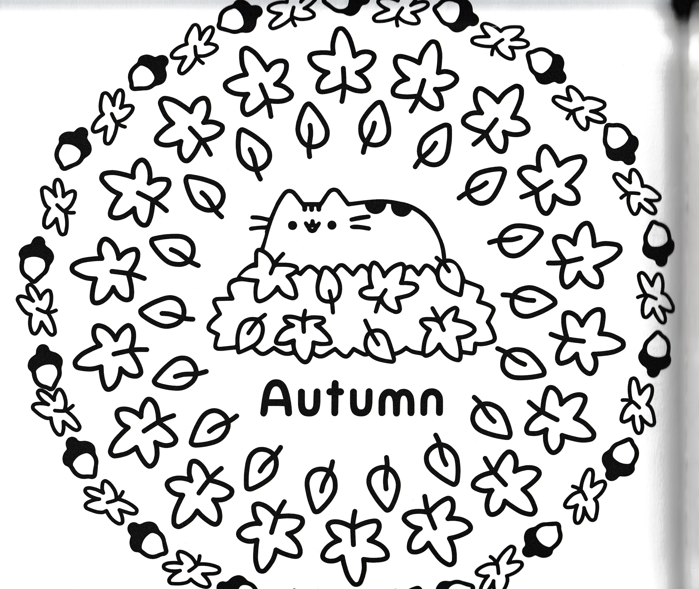 Colouring page: Autumn cat